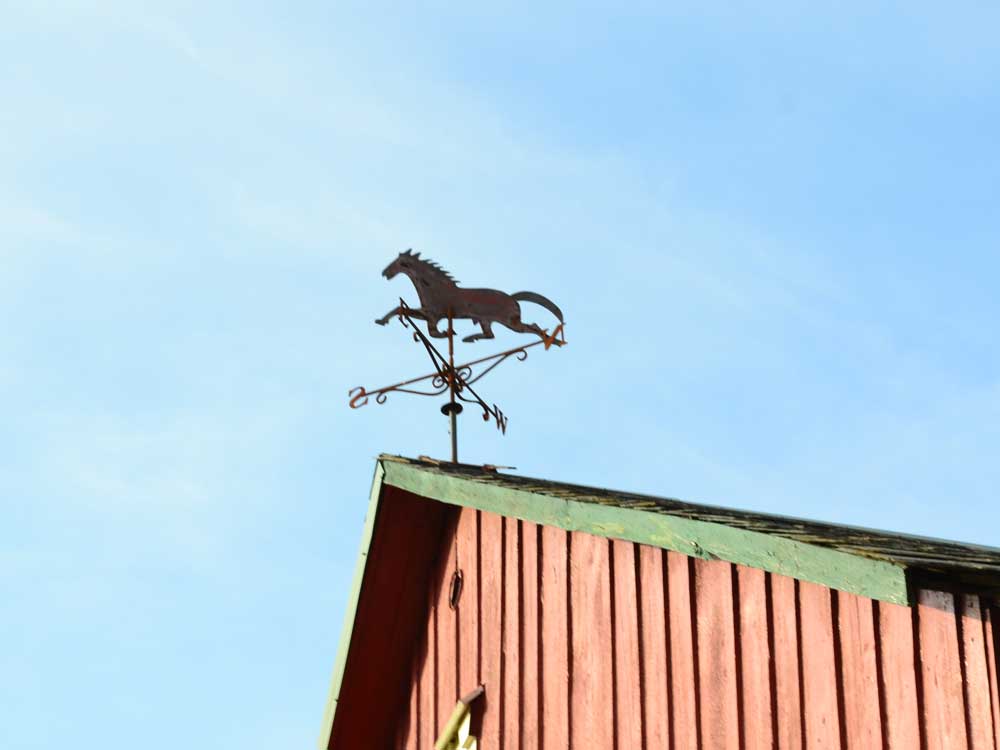 horse weathervane